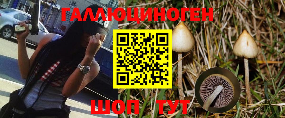 Псилоцибиновые грибы MAGIC MUSHROOMS  Вход с VPN  где купить наркоту  Лениногорск 