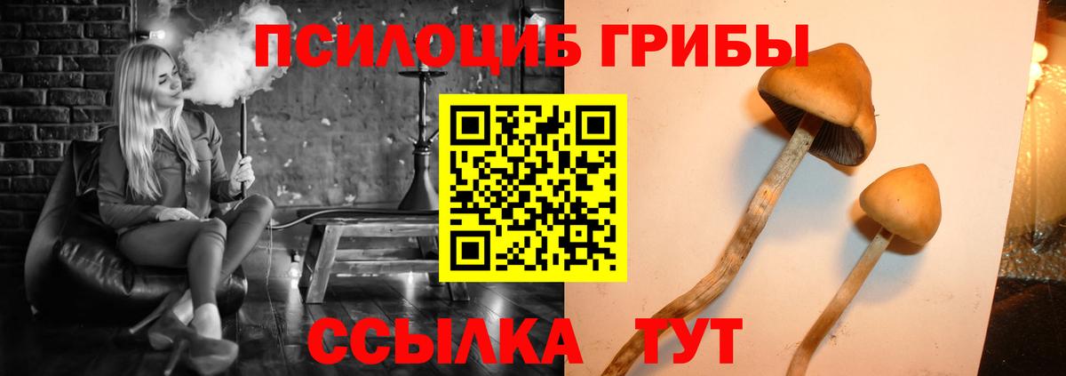 Галлюциногенные грибы мухоморы Лениногорск